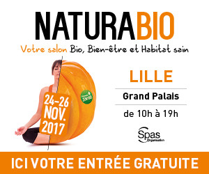 NB17-SPAS-300X250pxl